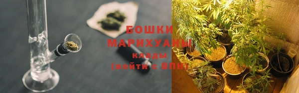 каннабис Майский