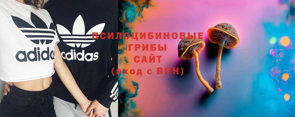 дурь Усмань