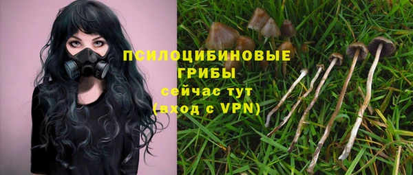 гашишное масло Медвежьегорск