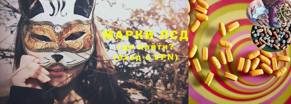 стафф Магас