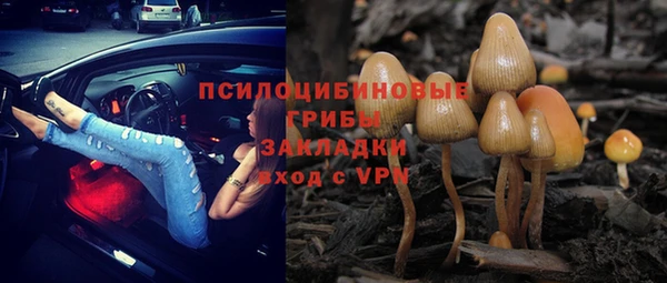 винт Мегион