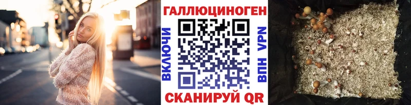 Псилоцибиновые грибы мухоморы  дарнет шоп  Шатура 