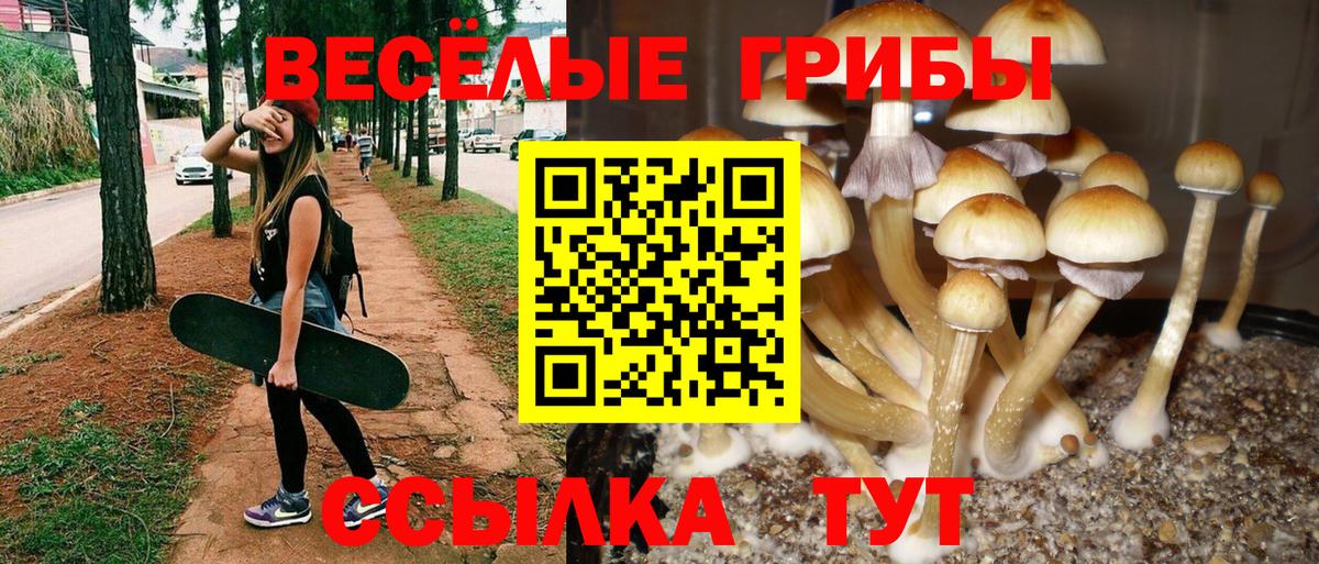 Псилоцибиновые грибы ЛСД  Вход с VPN  Шатура 