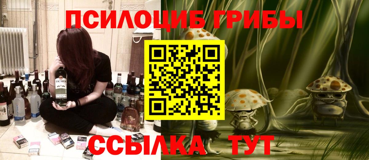 Псилоцибиновые грибы Psilocybe Шатура