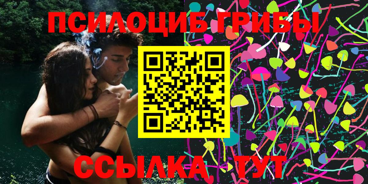 Псилоцибиновые грибы Psilocybe  Шатура 